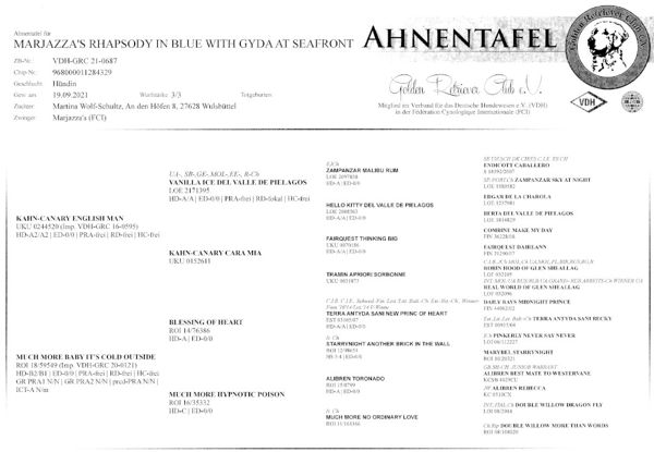 Gydas Ahnnetafel